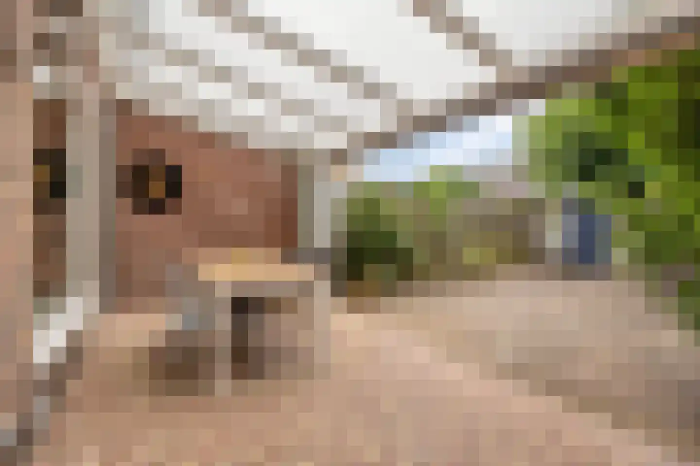 Kardinaal van Enckevoirtstraat 18 Eindhoven thumbnail 31