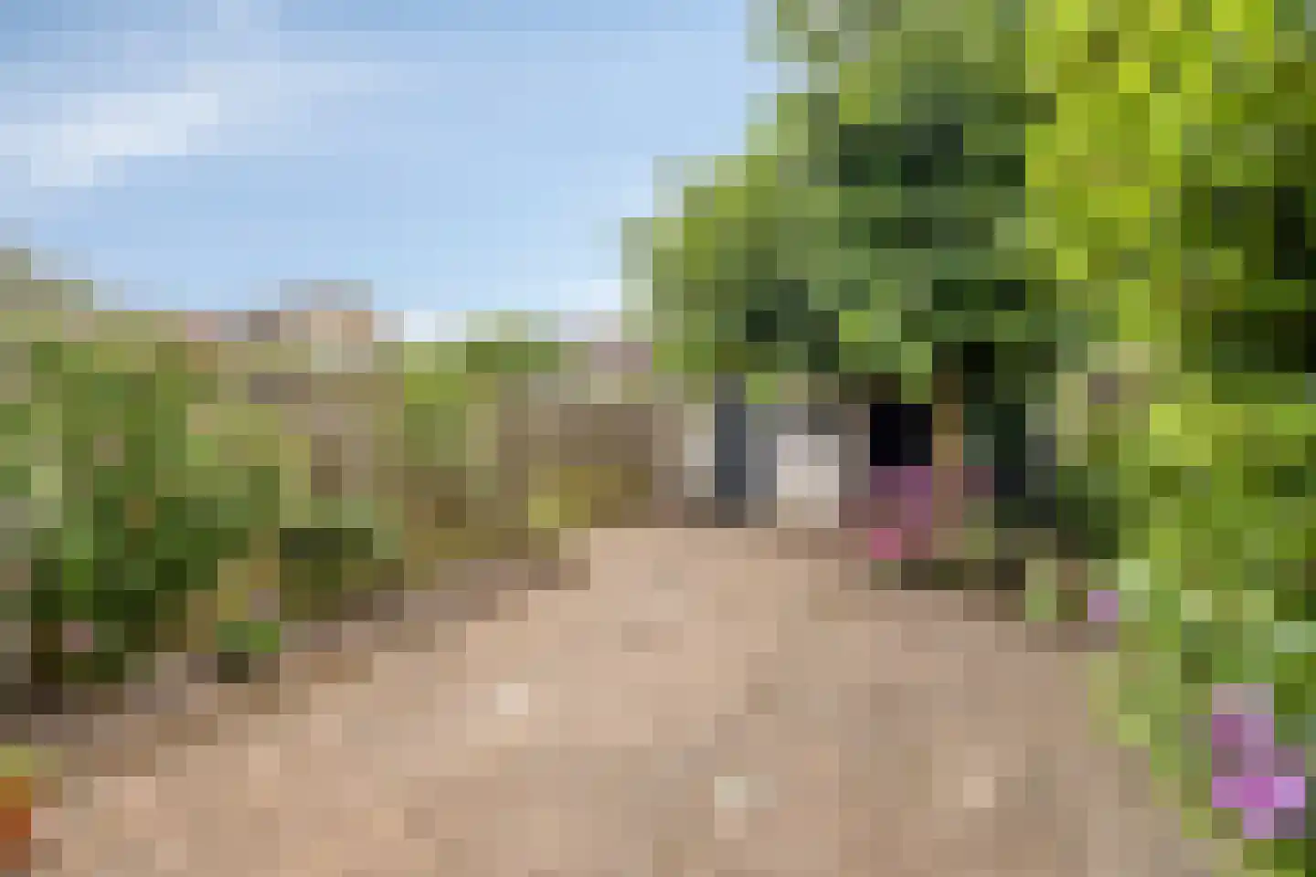 Kardinaal van Enckevoirtstraat 18 Eindhoven thumbnail 33