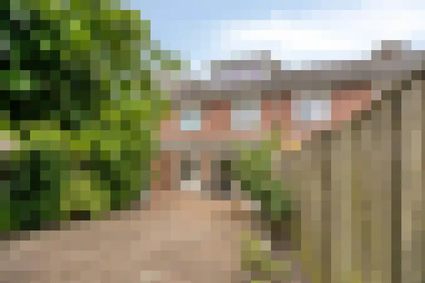 Kardinaal van Enckevoirtstraat 18 Eindhoven thumbnail 34