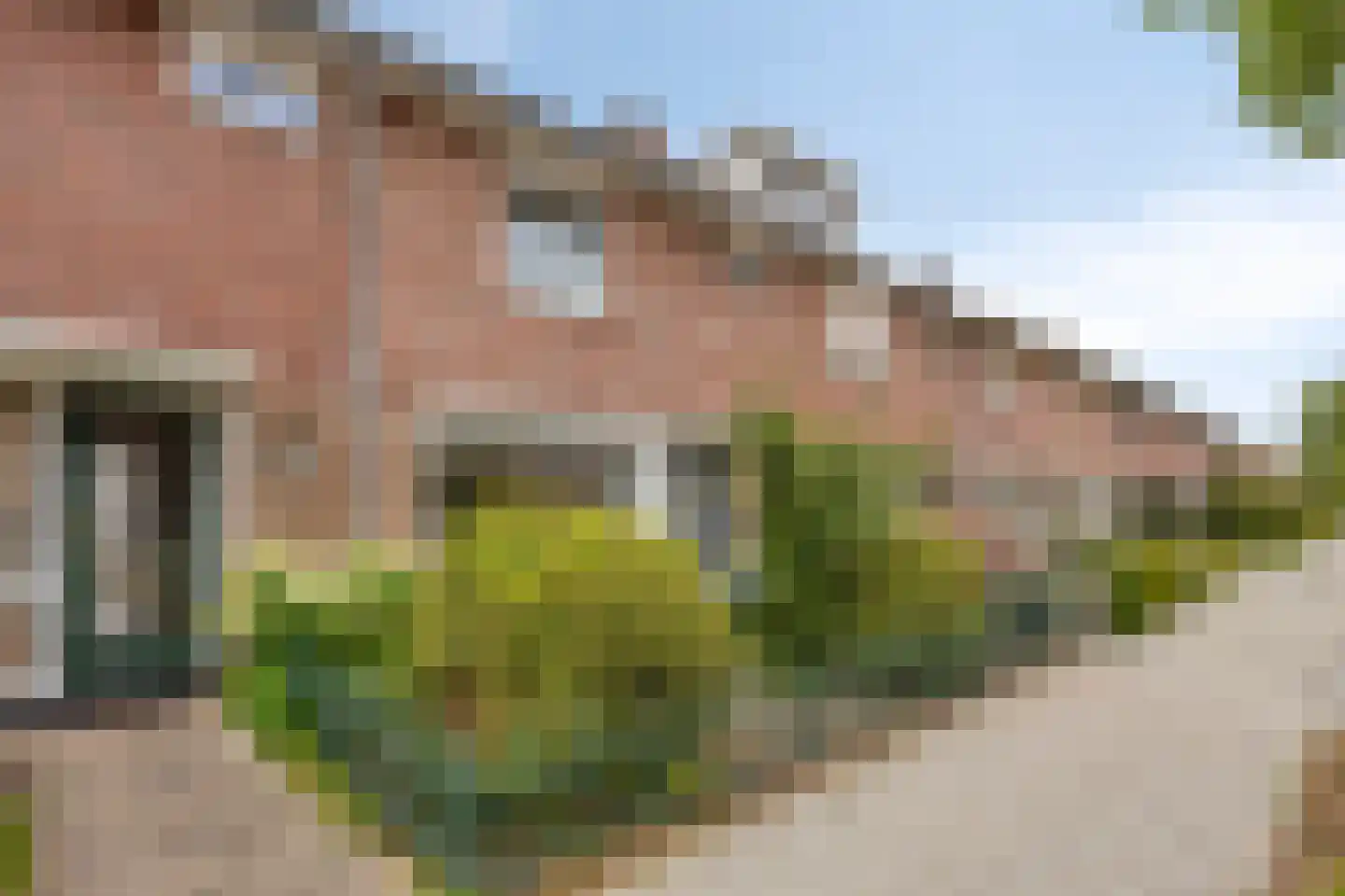 Kardinaal van Enckevoirtstraat 18 Eindhoven thumbnail 8
