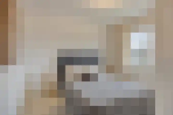 Kardinaal van Enckevoirtstraat 27 Eindhoven thumbnail 22