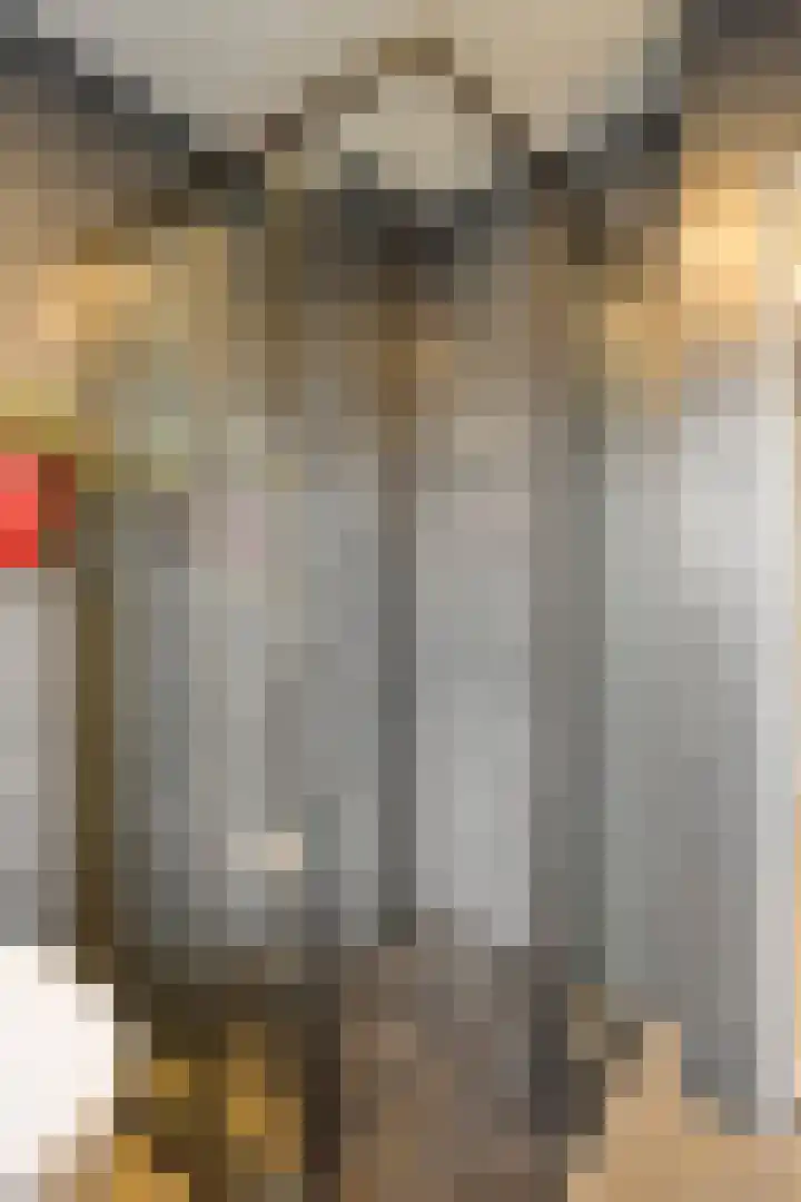 Kardinaal van Enckevoirtstraat 27 Eindhoven thumbnail 25