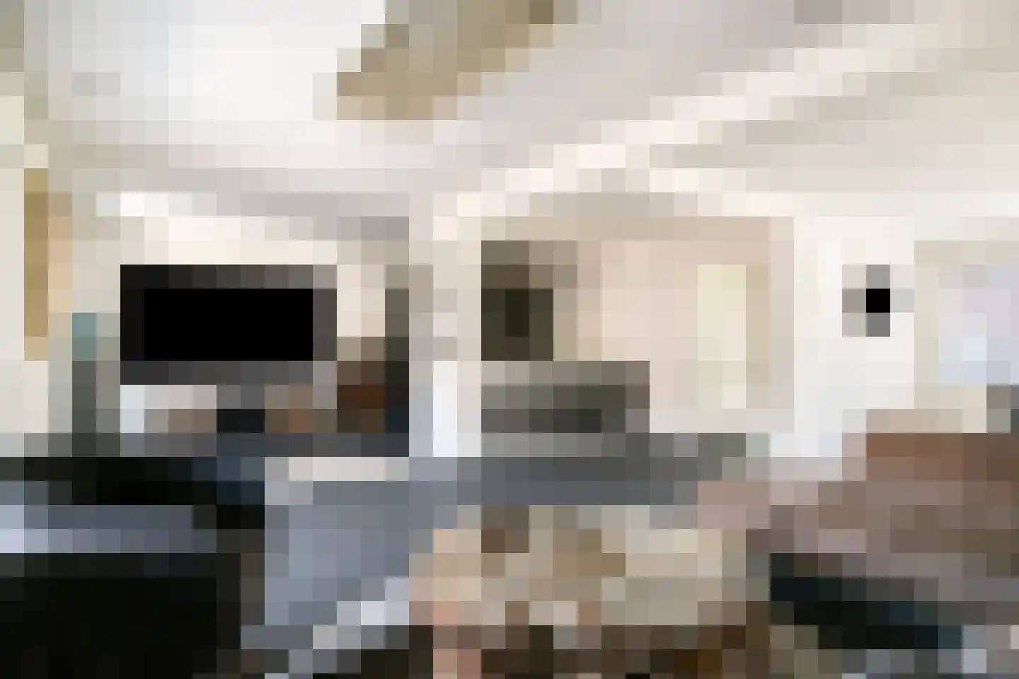 Kardinaal van Rossumlaan 27 Eindhoven thumbnail 13
