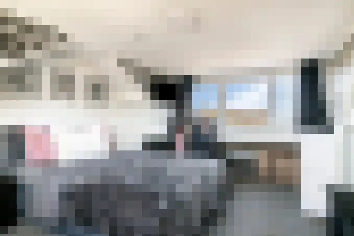 Kardinaal van Rossumlaan 27 Eindhoven thumbnail 32