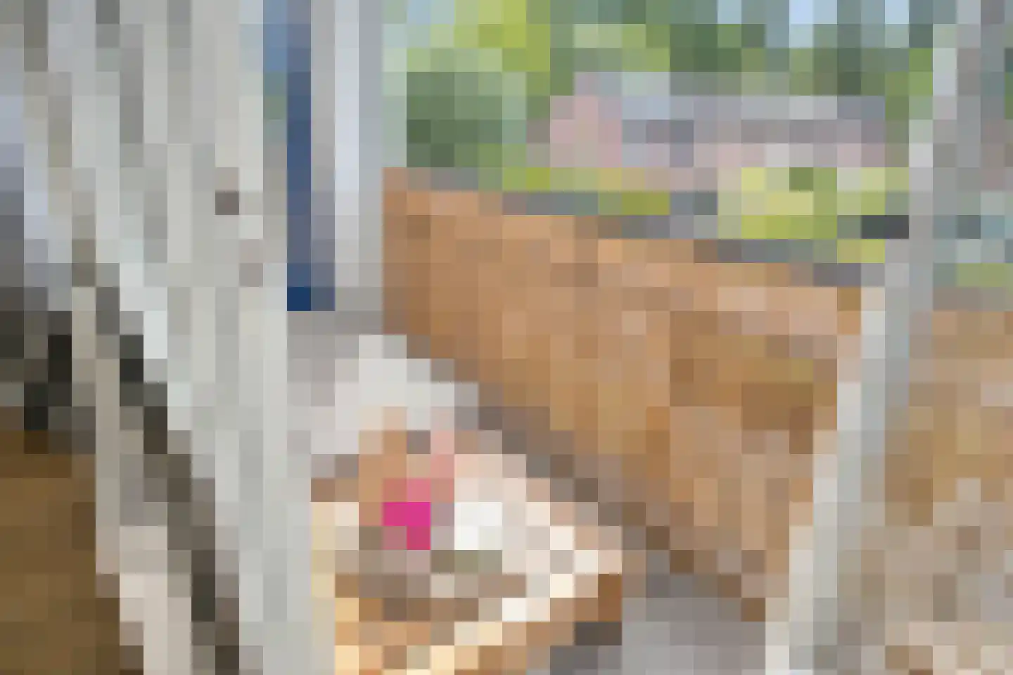 Kardinaal van Rossumlaan 33 Eindhoven thumbnail 24