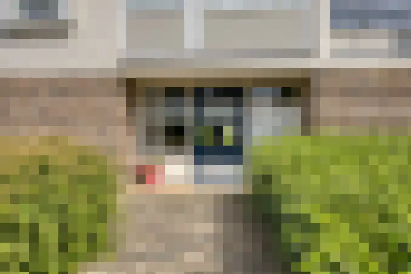 Kardinaal van Rossumlaan 33 Eindhoven thumbnail 28