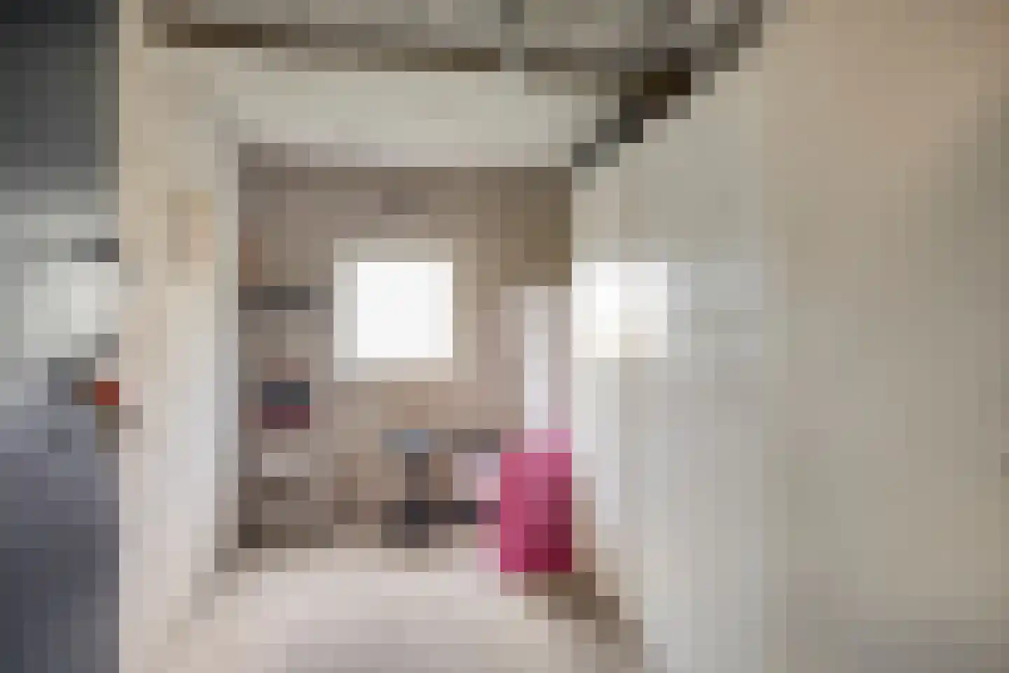 Kardinaal van Rossumlaan 33 Eindhoven thumbnail 30
