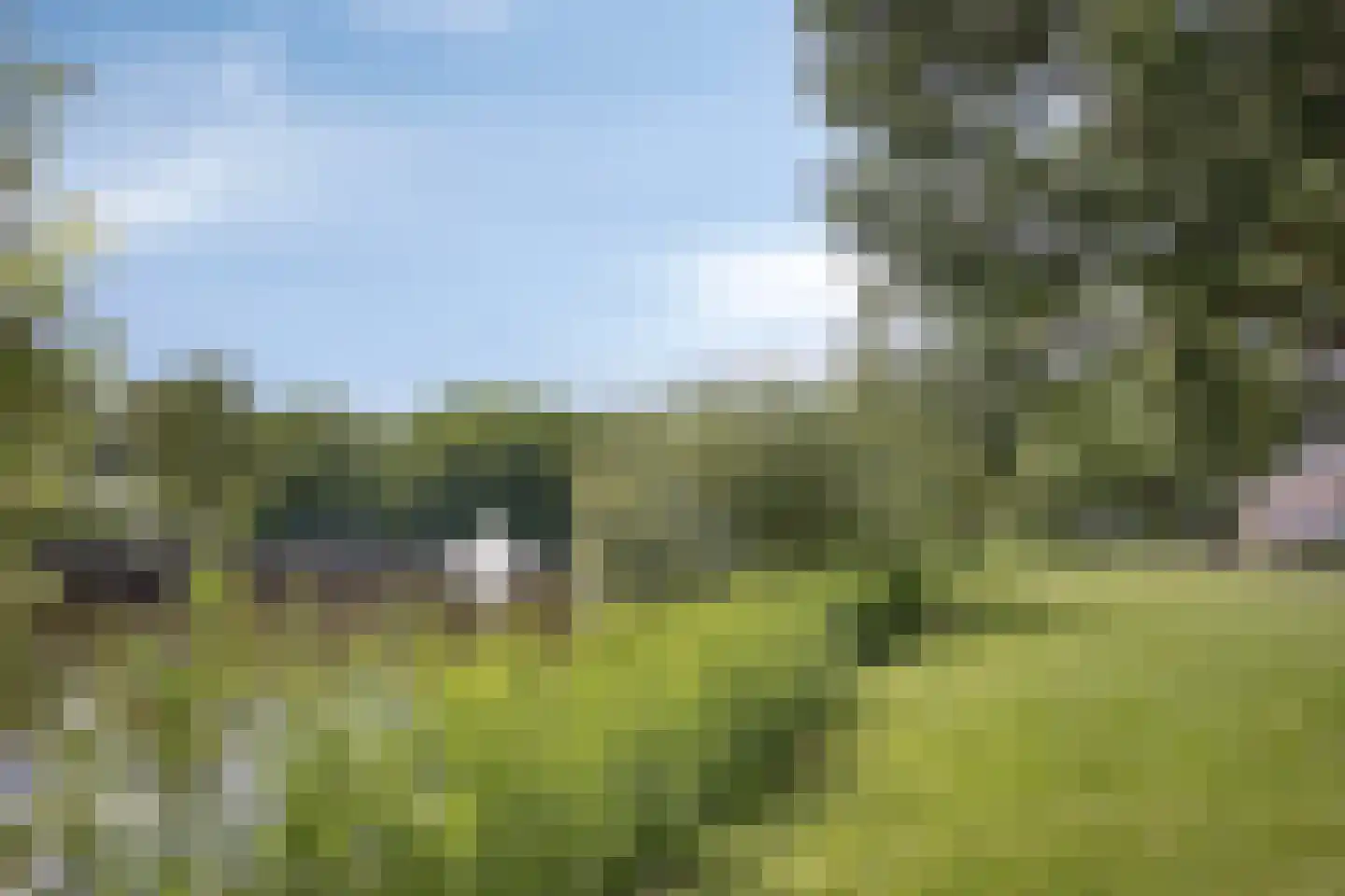 Kardinaal van Rossumlaan 33 Eindhoven thumbnail 36