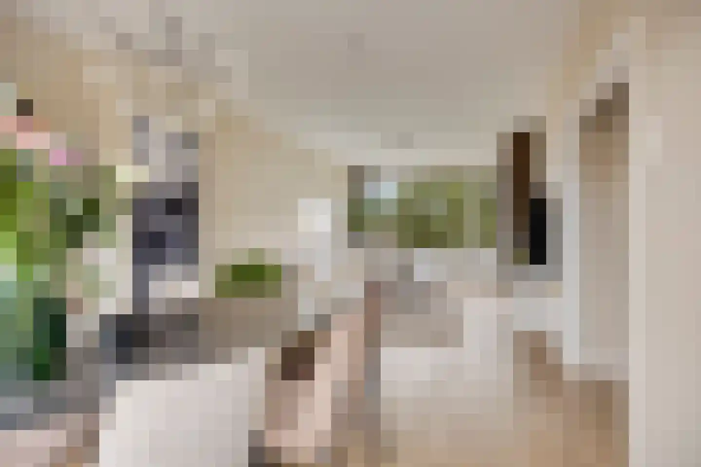 Kardinaal van Rossumlaan 33 Eindhoven thumbnail 7