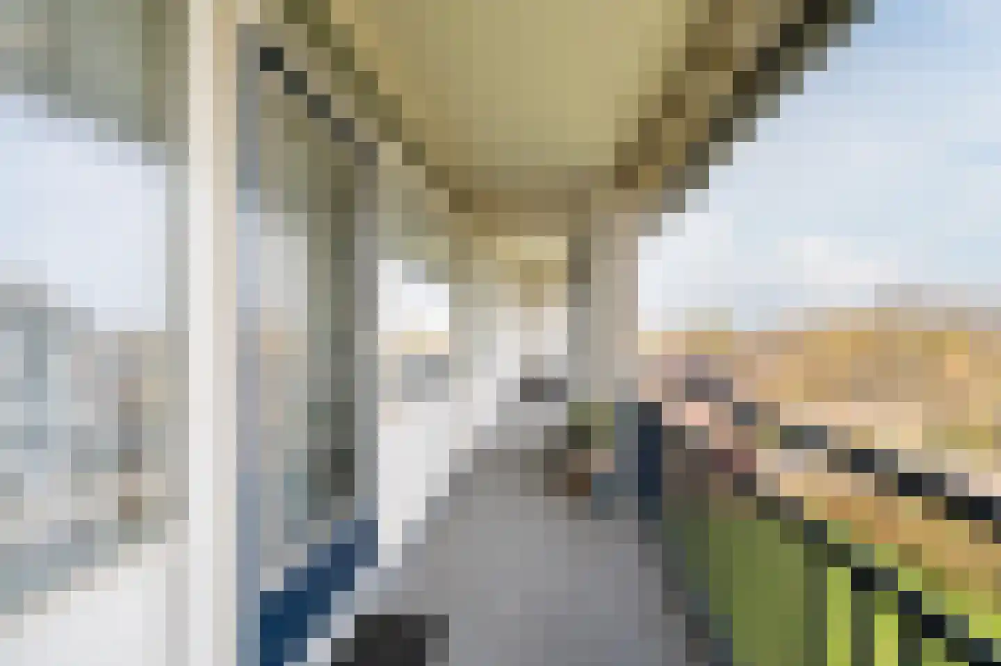 Kardinaal van Rossumlaan 61 Eindhoven thumbnail 10