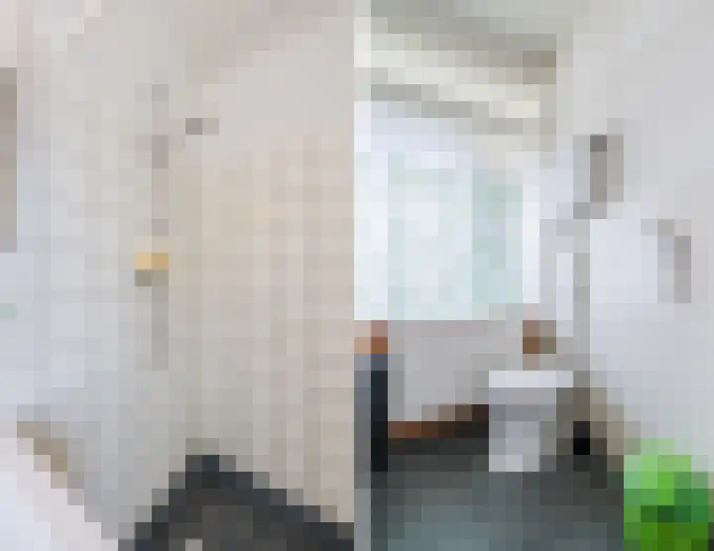 Kardinaal van Rossumlaan 61 Eindhoven thumbnail 14