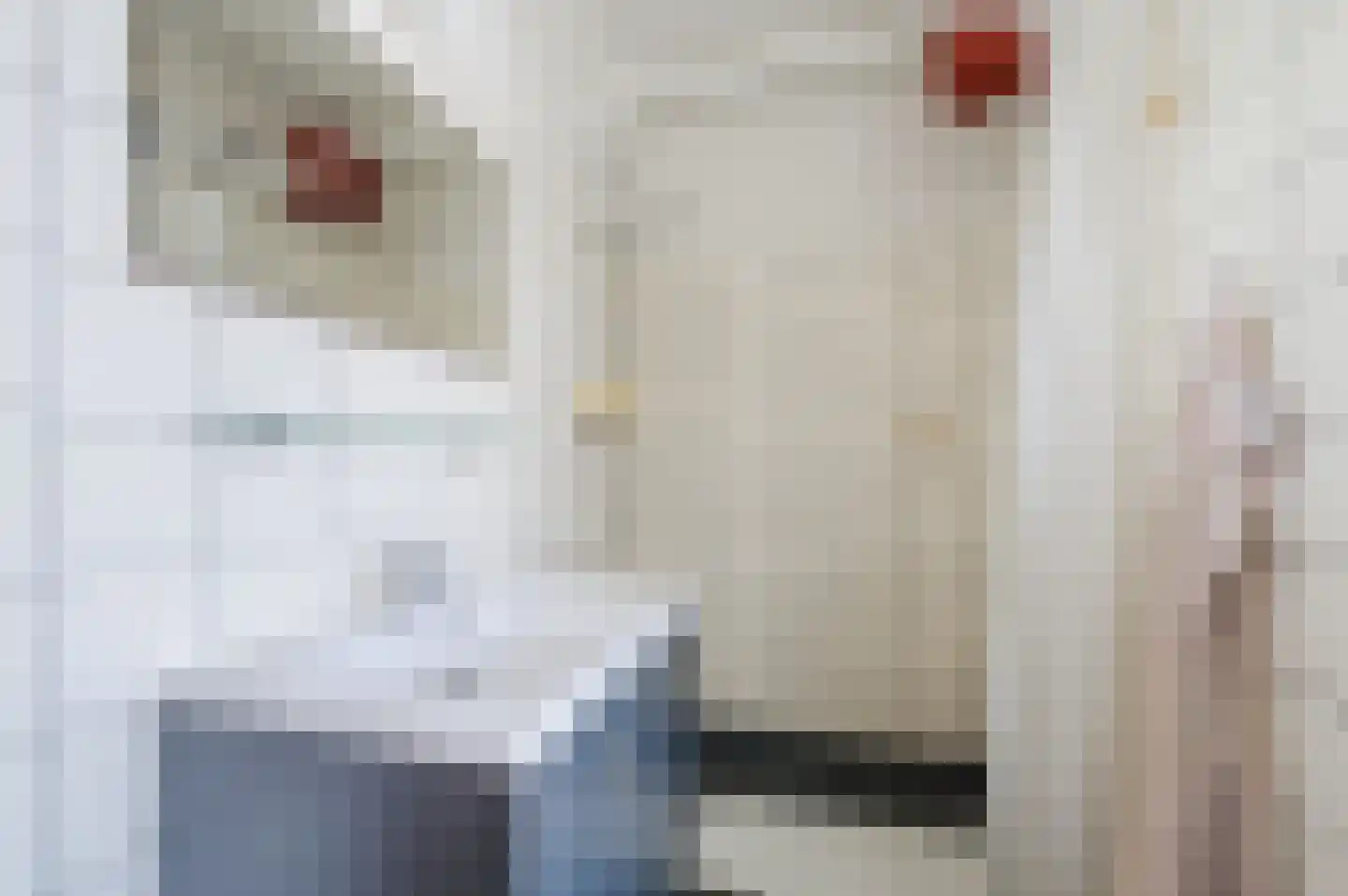 Kardinaal van Rossumlaan 61 Eindhoven thumbnail 15