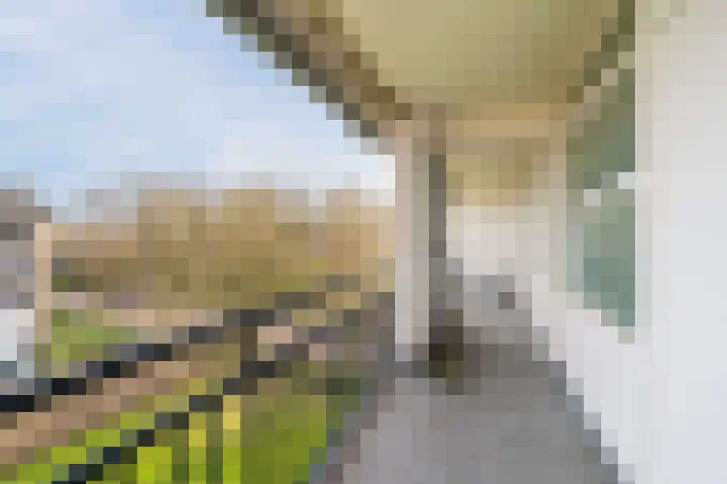 Kardinaal van Rossumlaan 61 Eindhoven thumbnail 8