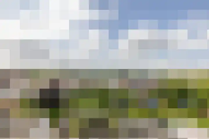 Kardinaal van Rossumstraat 12 Wittem thumbnail 18