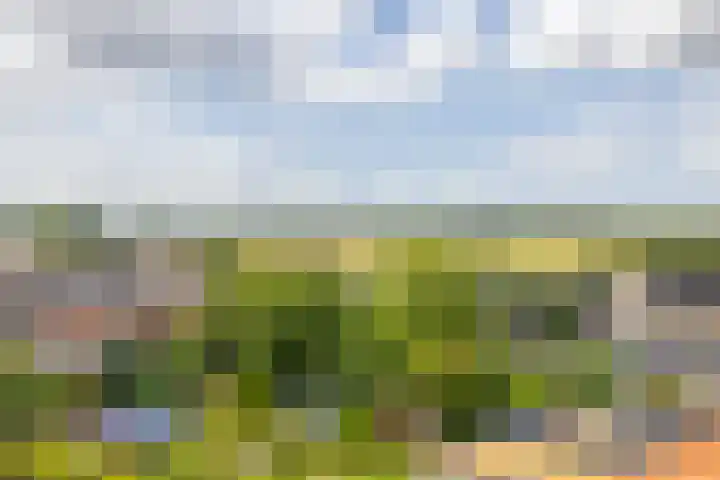 Kardinaal van Rossumstraat 12 Wittem thumbnail 23