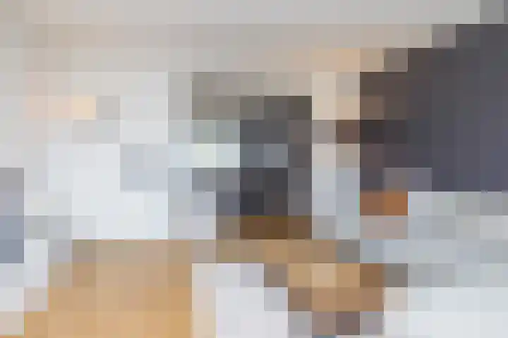 Kardinaal van Rossumstraat 12 Wittem thumbnail 6