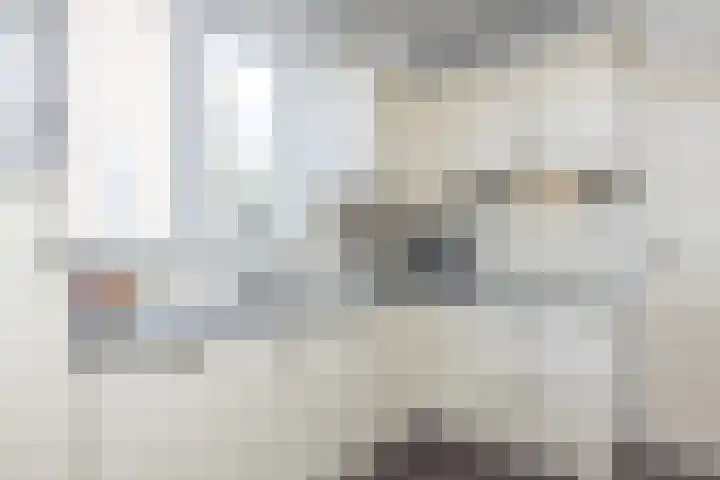 Kardinaal van Rossumstraat 12 Wittem thumbnail 9