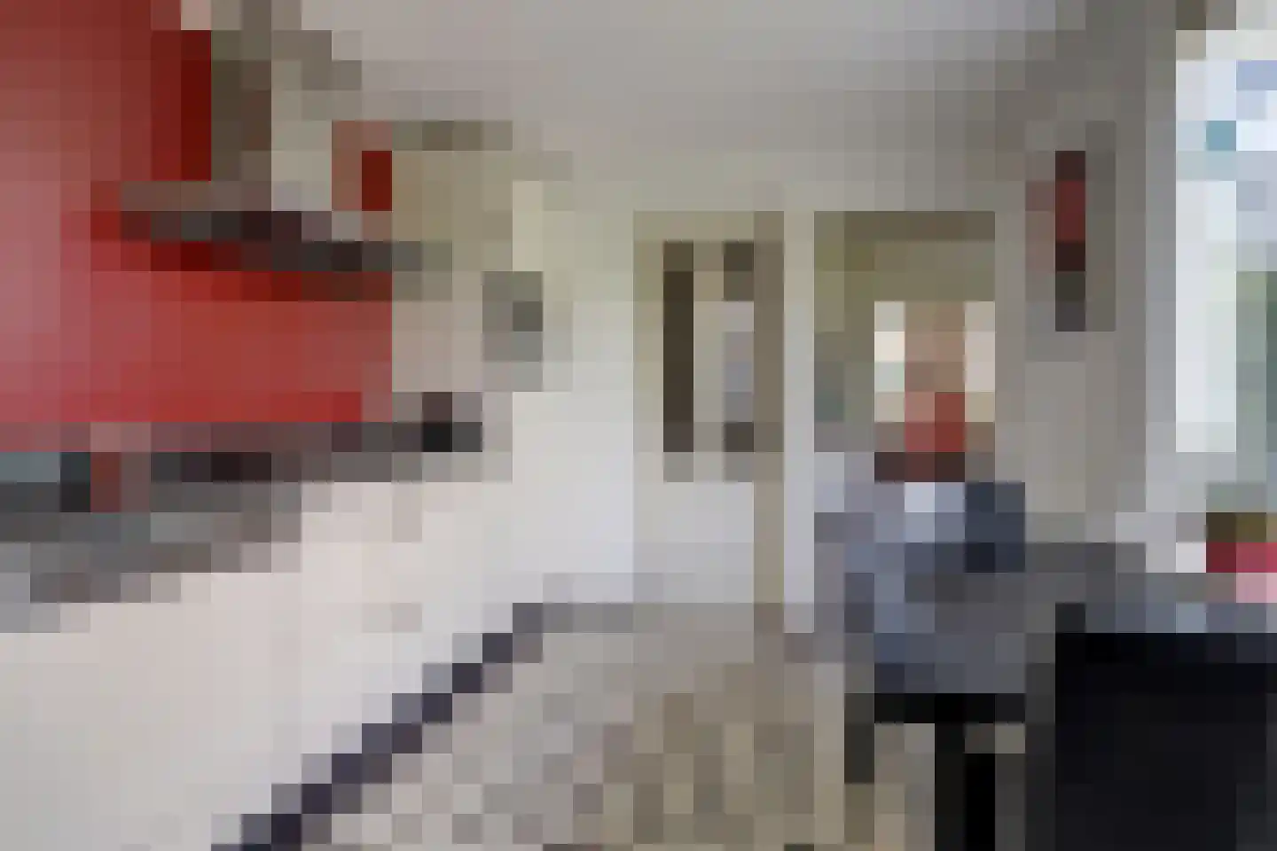 Kardinaal van Rossumstraat 13 Dongen thumbnail 15