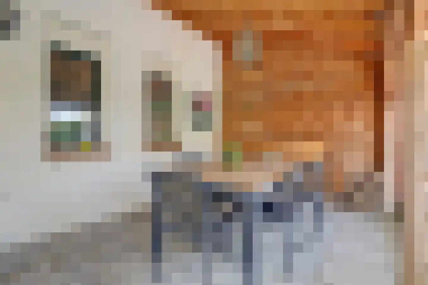 Kardinaal van Rossumstraat 13 Dongen thumbnail 30
