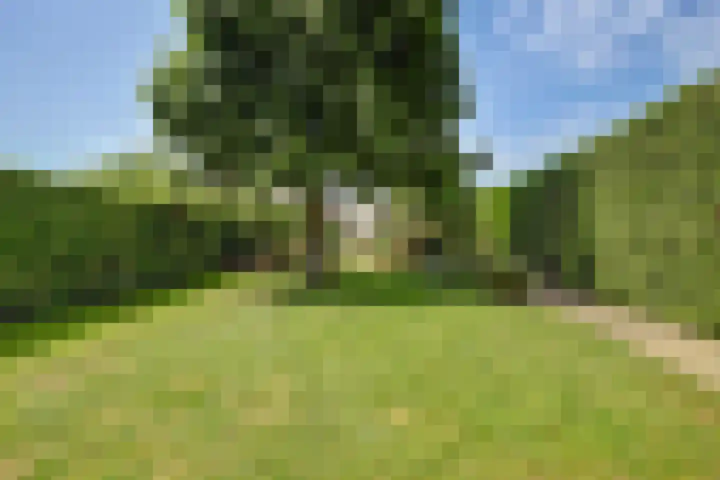 Kardinaal van Rossumstraat 13 Dongen thumbnail 33