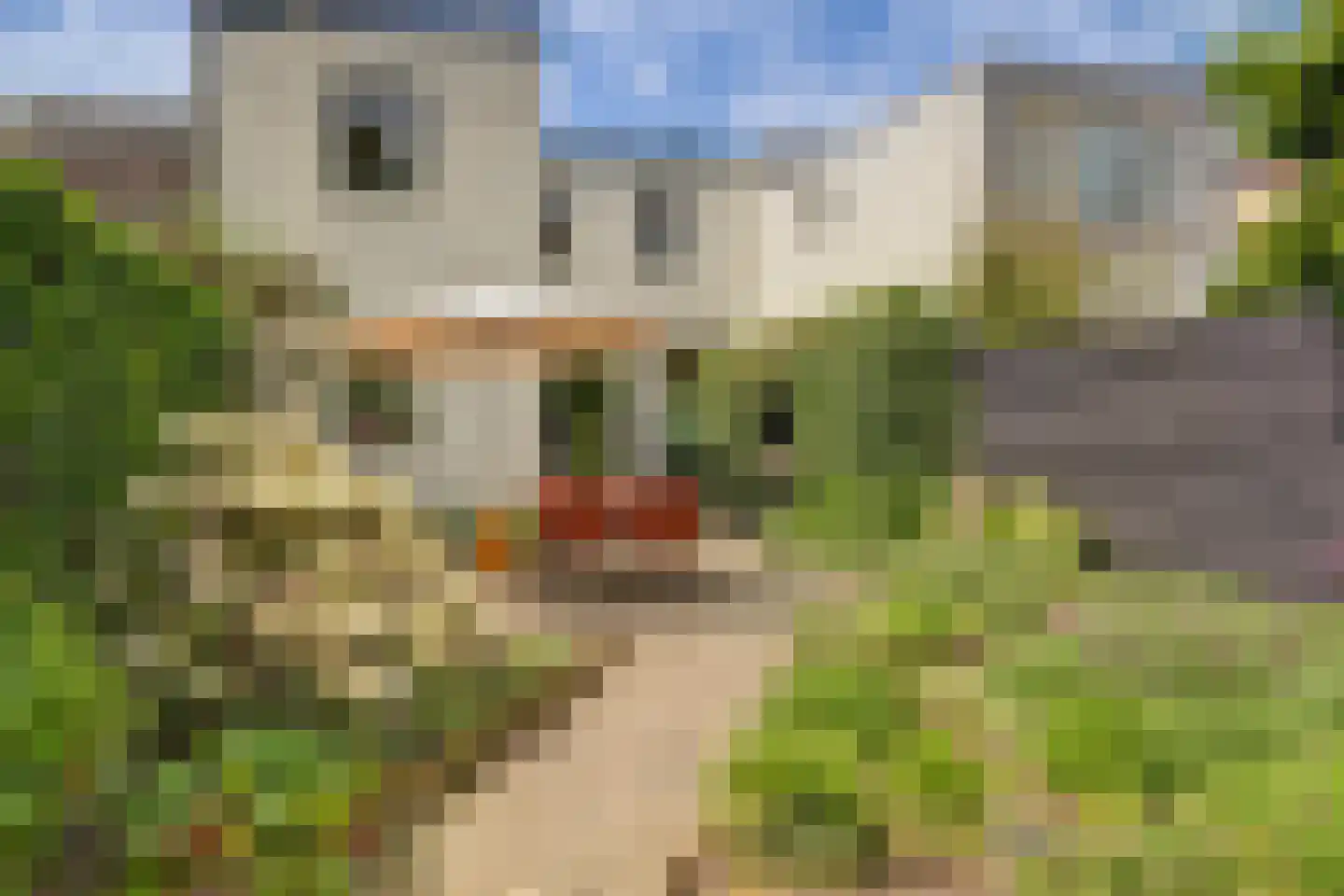 Kardinaal van Rossumstraat 13 Dongen thumbnail 40