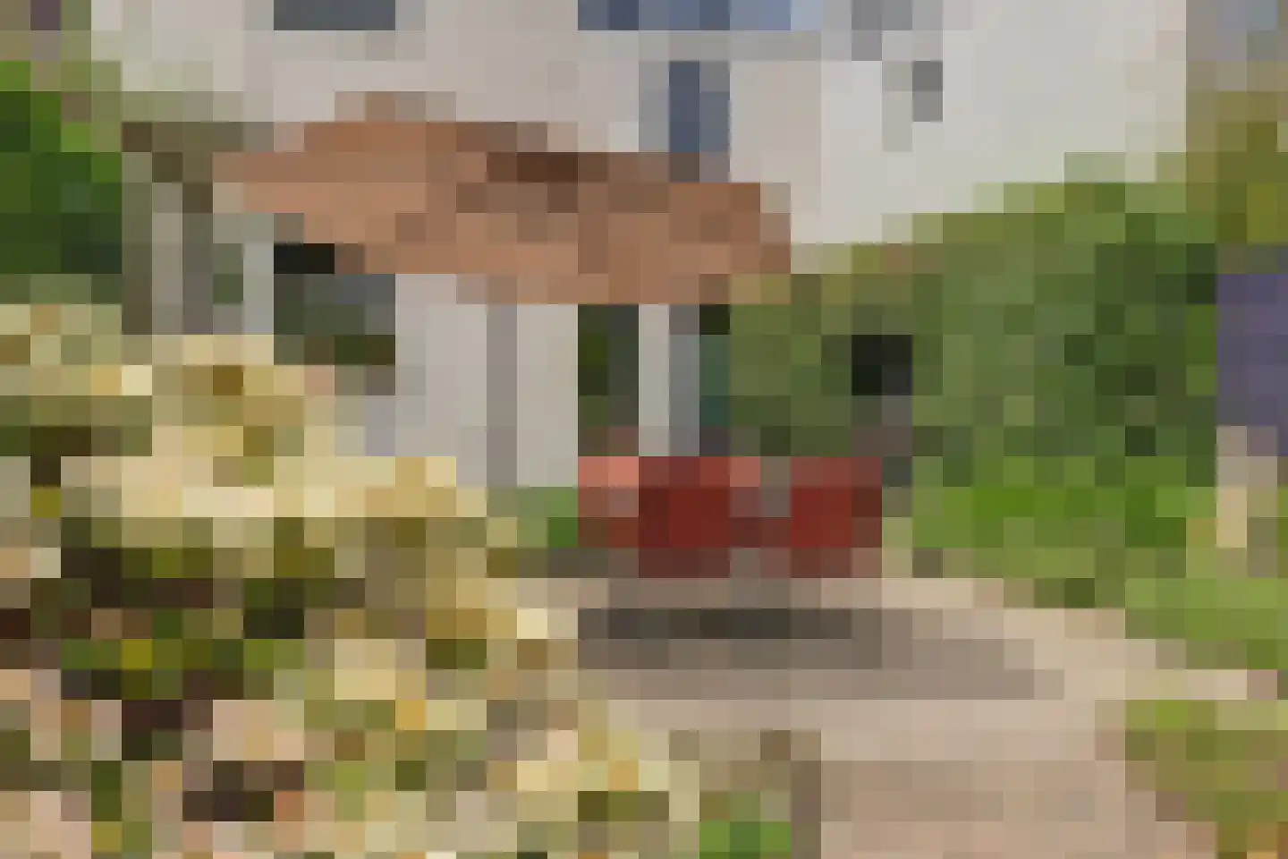 Kardinaal van Rossumstraat 13 Dongen thumbnail 45