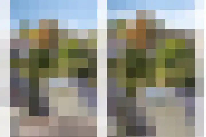 Kardinaal van Rossumstraat 24 Dongen thumbnail 14