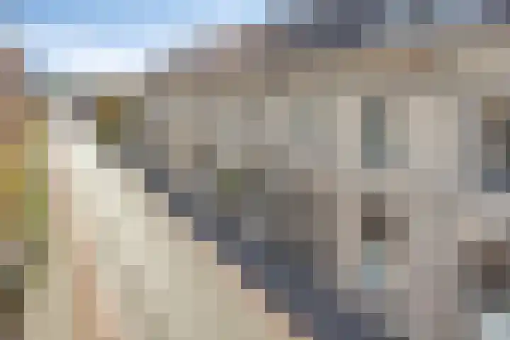 Kardinaal van Rossumstraat 24 Dongen thumbnail 17