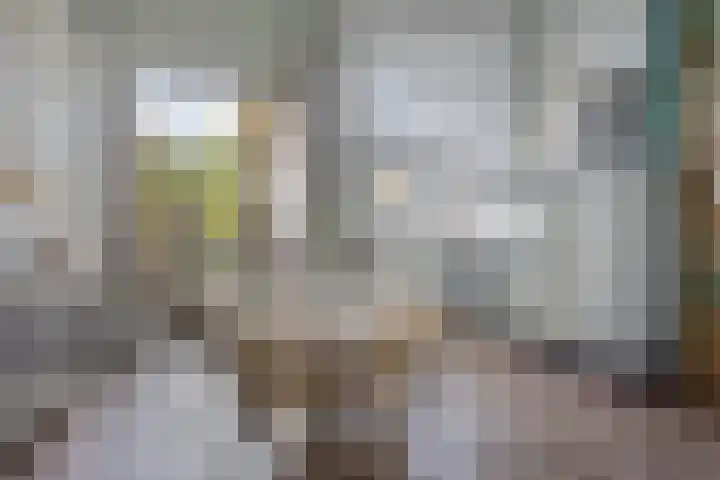 Kardinaal van Rossumstraat 24 Dongen thumbnail 22