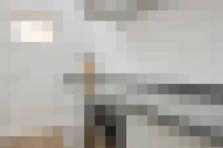 Kardinaal van Rossumstraat 24 Dongen thumbnail 25