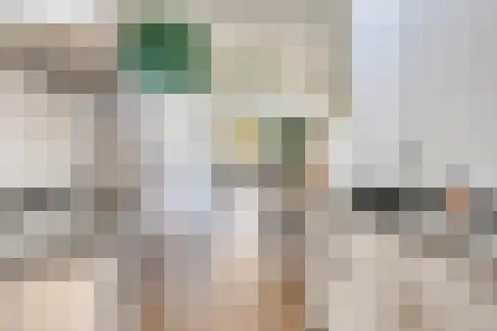 Kardinaal van Rossumstraat 24 Dongen thumbnail 26