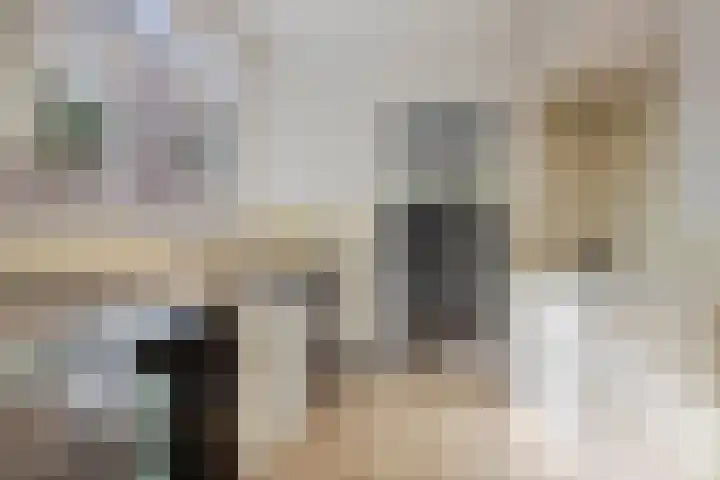 Kardinaal van Rossumstraat 24 Dongen thumbnail 27