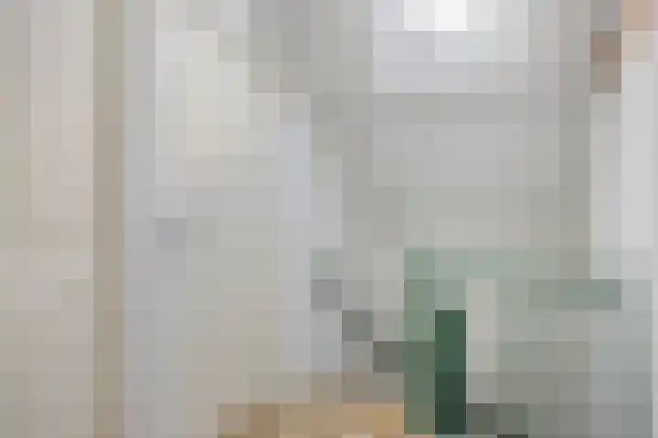 Kardinaal van Rossumstraat 24 Dongen thumbnail 33