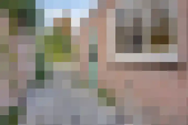 Kardinaal van Rossumstraat 24 Dongen thumbnail 40