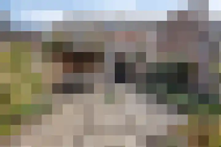 Kardinaal van Rossumstraat 24 Dongen thumbnail 43