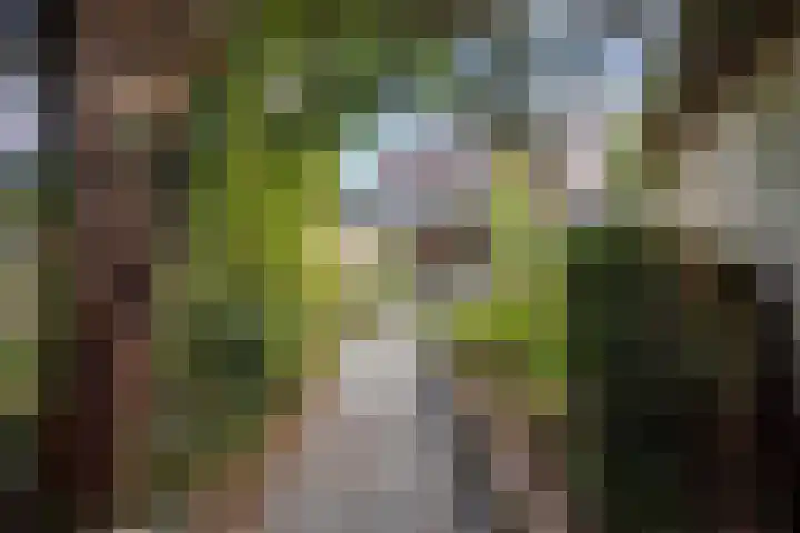 Kardinaal van Rossumstraat 24 Dongen thumbnail 45