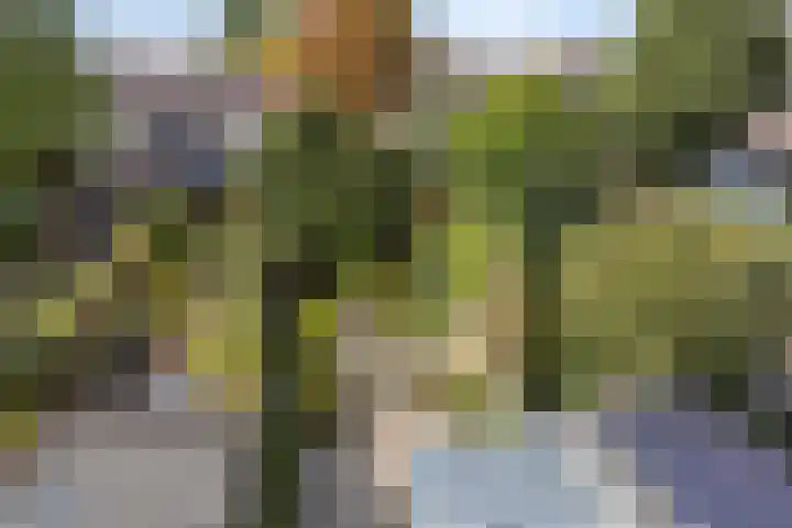 Kardinaal van Rossumstraat 24 Dongen thumbnail 48