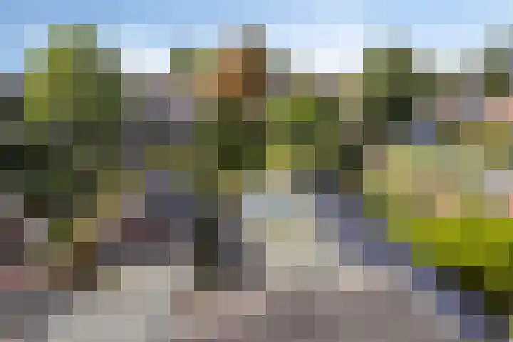 Kardinaal van Rossumstraat 24 Dongen thumbnail 49