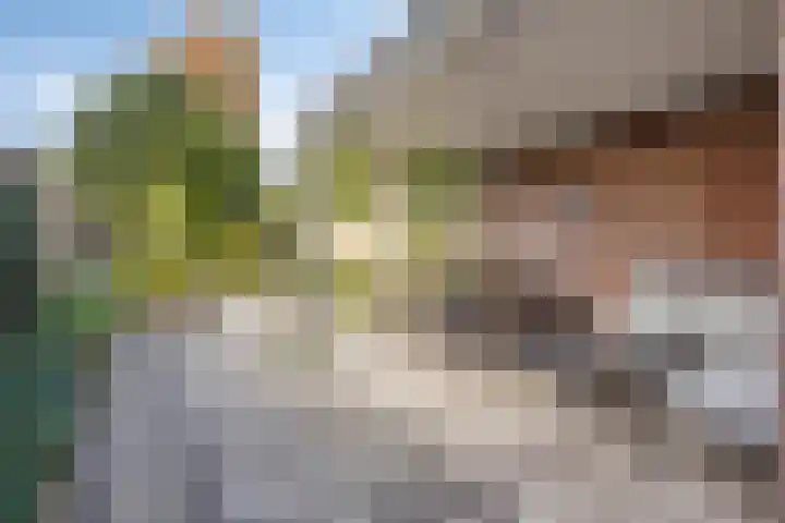 Kardinaal van Rossumstraat 24 Dongen thumbnail 6