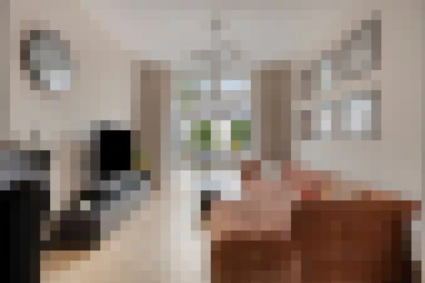 Kardinaal van Rossumstraat 28 Tilburg thumbnail 16