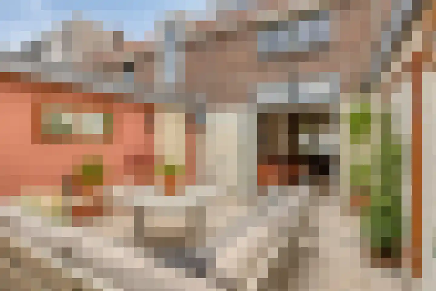 Kardinaal van Rossumstraat 28 Tilburg thumbnail 50