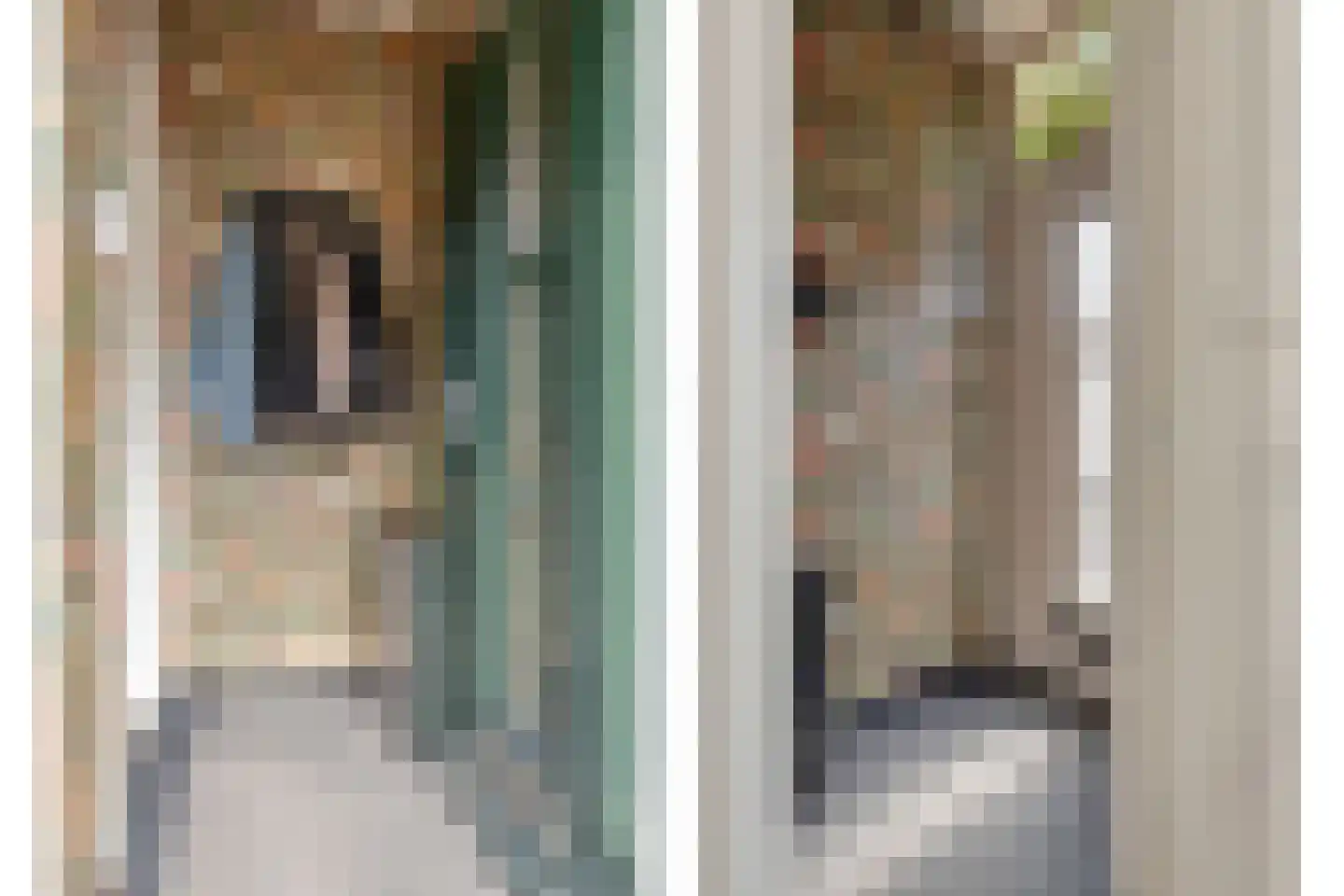 Kardinaal van Rossumstraat 28 Tilburg thumbnail 8