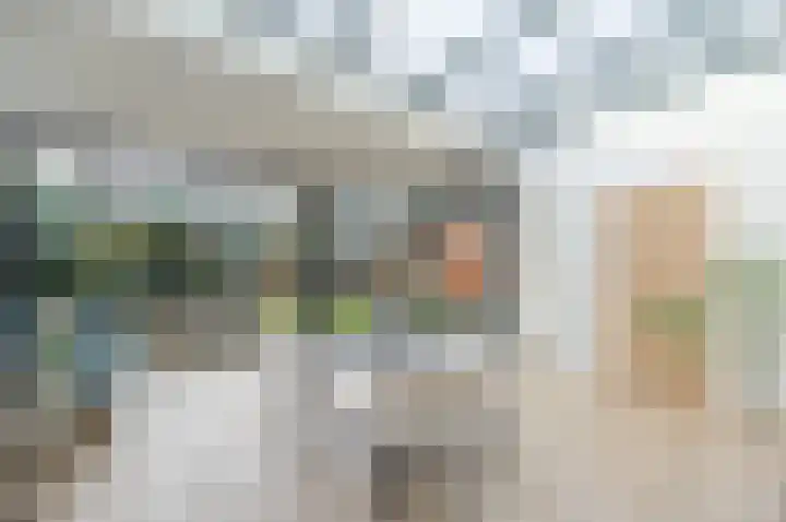Kardinaal van Rossumstraat 30 Venray thumbnail 22