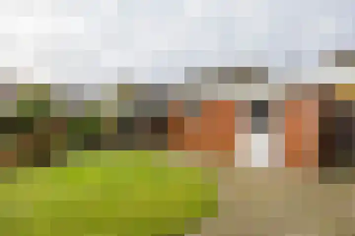 Kardinaal van Rossumstraat 30 Venray thumbnail 52