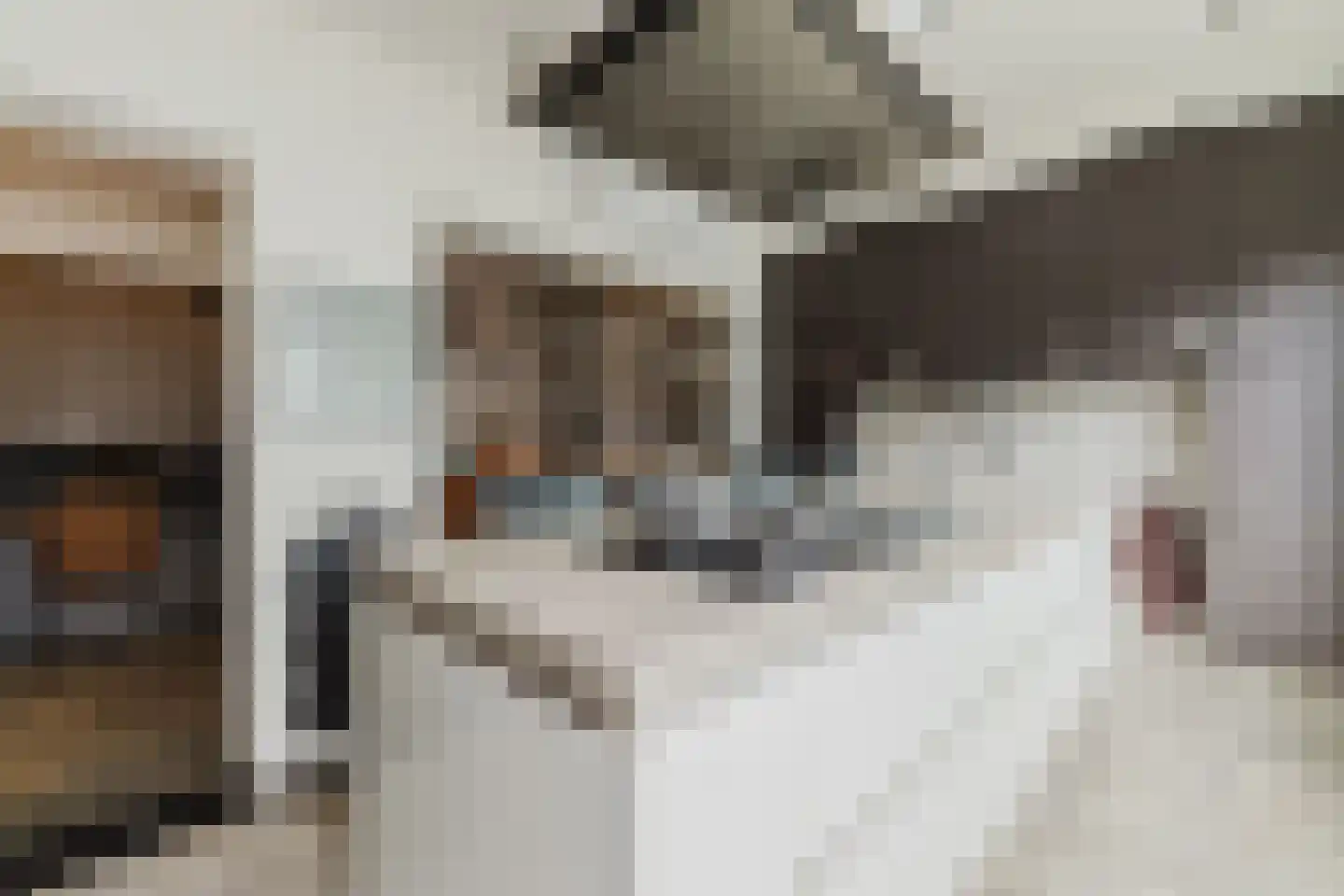 Kardinaal van Rossumstraat 32 d Tilburg thumbnail 15