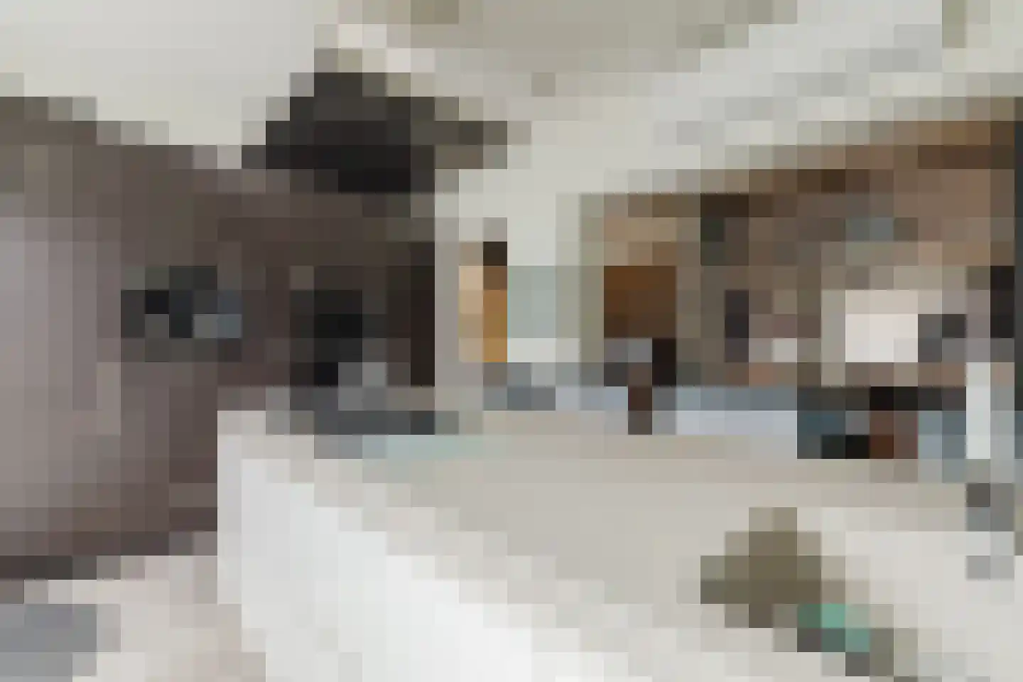 Kardinaal van Rossumstraat 32 d Tilburg thumbnail 16