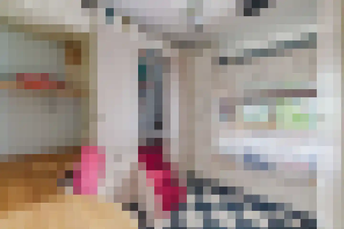 Kardinaal van Rossumstraat 32 d Tilburg thumbnail 31