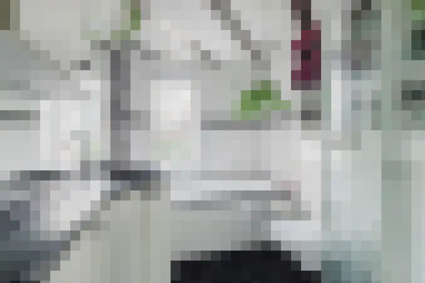Kardinaal van Rossumstraat 32 d Tilburg thumbnail 4