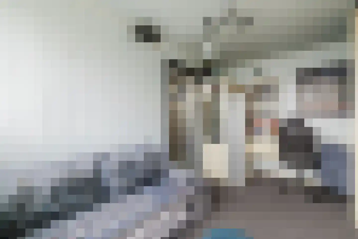 Kardinaal van Rossumstraat 32 d Tilburg thumbnail 42