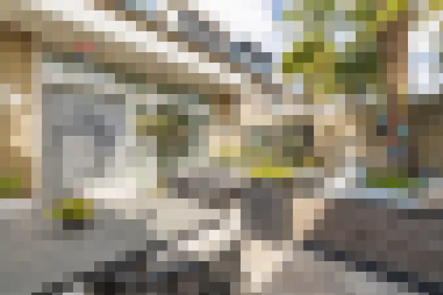 Kardinaal van Rossumstraat 32 d Tilburg thumbnail 46